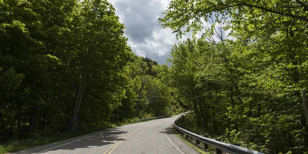 Empty Road Amidst Trees Forest Pleasant Bay Cape Breton Highlands — Stock Photo, Image