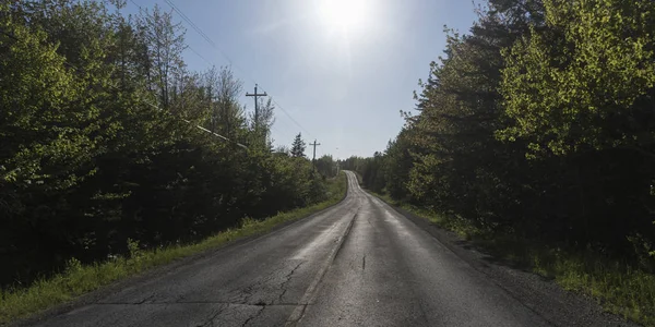 Empty Road Amidst Trees Forest Cape Breton Island Nova Scotia — Stock Photo, Image