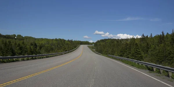 Empty Road Amidst Trees Forest Frankville Cape Breton Island Nova — Stock Photo, Image