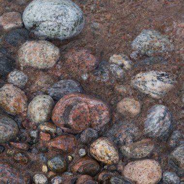 Taşlar kum plaj, çok iyi Bay, Cape Breton Adası, Nova Scotia, Amerika Birleşik Devletleri