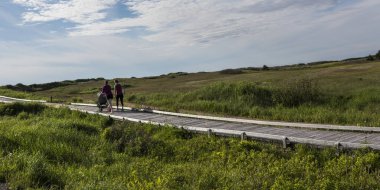 Peyzaj, Inverness, Mabou, Cape Breton Adası, Nova Scotia, Kanada tahta üzerinde yürüyen aile