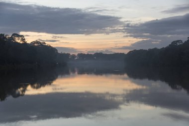 Yansıma ağaçlar ve bulutların üstünde su, Tonle Sap, Siem Reap, Kamboçya