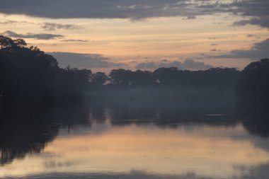 Yansıma ağaçlar ve bulutların üstünde su, Tonle Sap, Siem Reap, Kamboçya