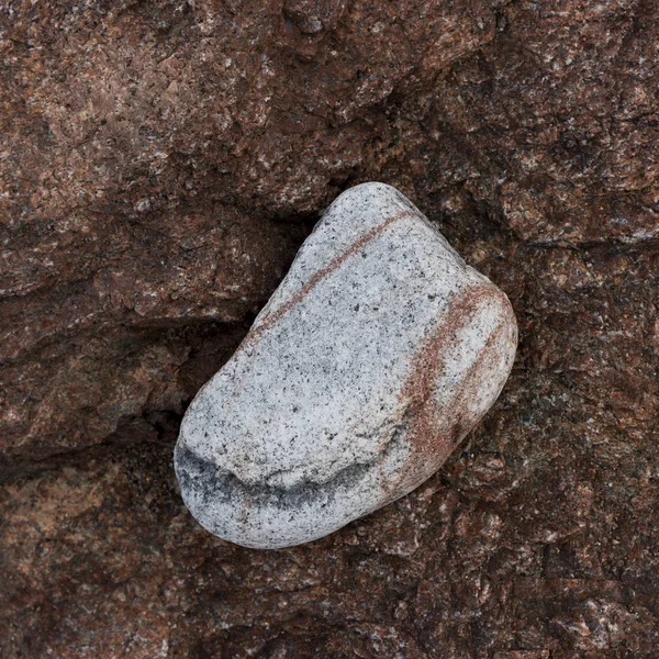 Γκρι Βράχο Στην Παραλία Νησί Κέιπ Μπρετόν Νέα Σκωτία Καναδάς — Φωτογραφία Αρχείου
