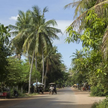 Ağaçlar Street'te, Siem Reap, Kamboçya