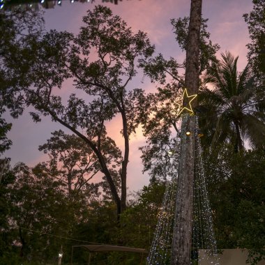 Düşük açılı görünümü sütun dekore edilmiş ışıklar, Krong Siem Reap, Siem Reap, Kamboçya