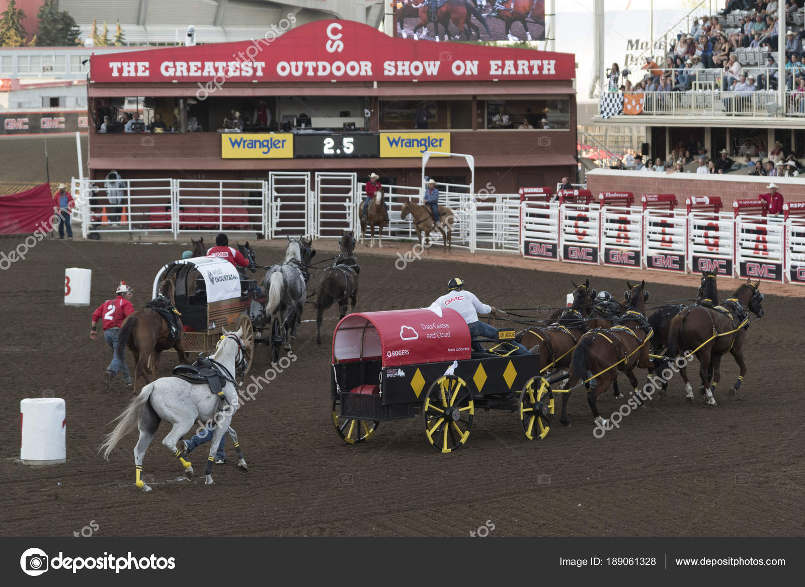 Chuckwagon Racing Annual Calgary Stampede Calgary Alberta Canada
