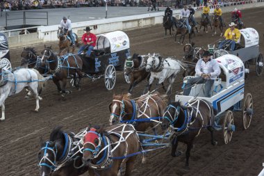 Yıllık Calgary izdiham, Calgary, Alberta, Kanada yarış Chuckwagon