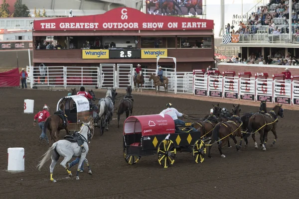 Chuckwagon Racing Den Årliga Calgary Stampede Calgary Alberta Kanada — Stockfoto