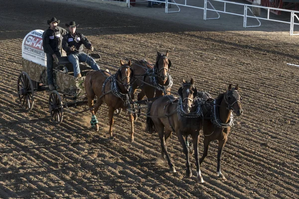 Chuckwagonrennen Beim Jährlichen Calgary Stampede Calgary Alberta Canada — Stockfoto