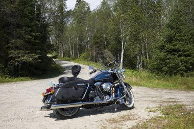 arka planda yeşil ormanda motosiklet