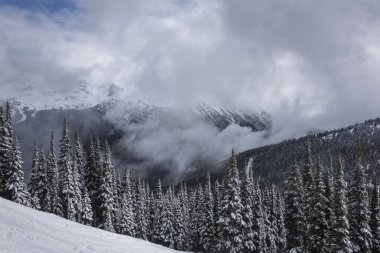 Kar görünümünü dağlar ağaçlarıyla kaplı Kış, Whistler dağ, British Columbia, Kanada