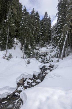 Karlı ormanda, Whistler, British Columbia, Kanada akan dere
