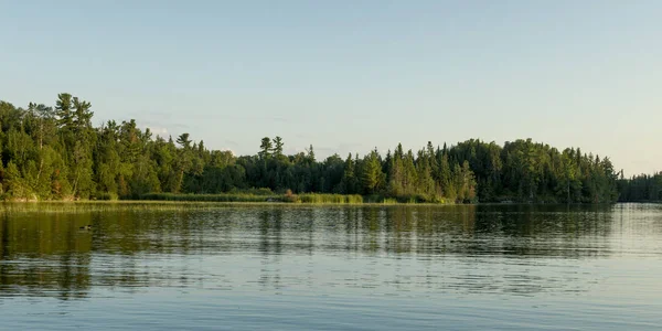 Beautiful Nature Scene Lake Woods Ontario Canada — Stock Photo, Image