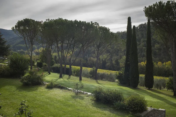 Мальовничим Видом Виноградників Тоскана Італія — стокове фото