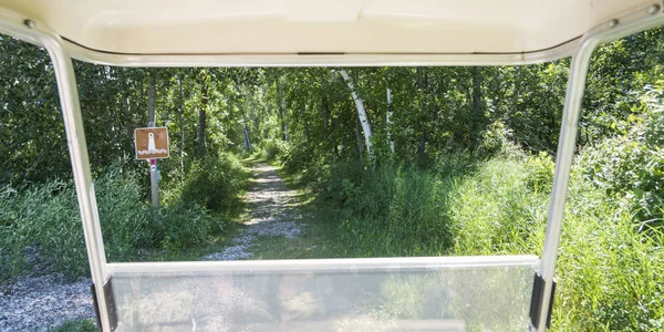 Empty Walkway Forest View Car — Foto de Stock