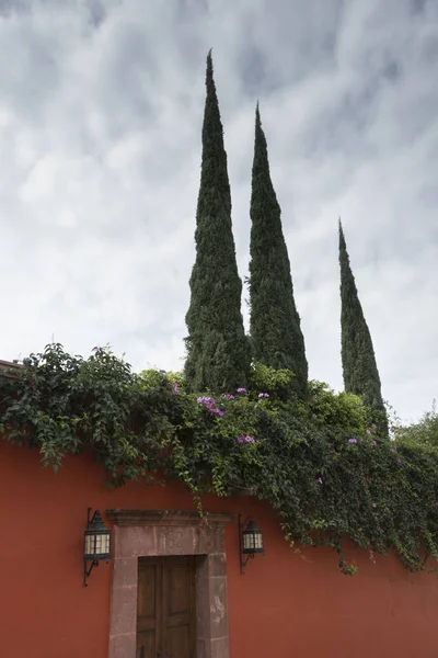 Wejście Dachu Drzwi Rośliny Domu Zona Centro San Miguel Allende — Zdjęcie stockowe
