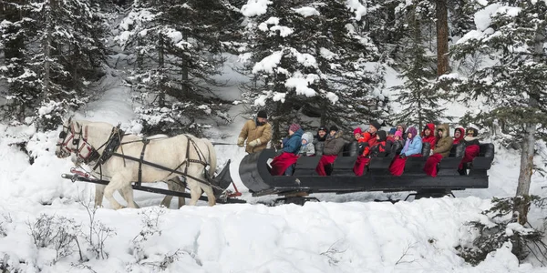 Turisti Cavallo Trainato Slitta Banff National Park Alberta Canada — Foto Stock