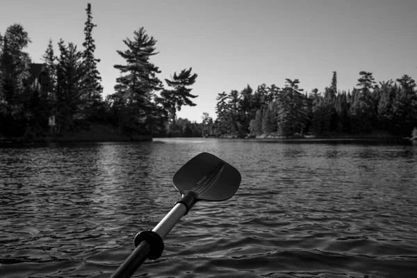 特写桨 森林湖 安大略省 加拿大股票形象 — 图库照片