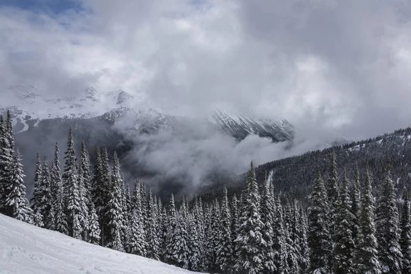 Вид Заснеженные Деревья Горами Зимой Уистлер Маунтин Британская Колумбия Канада — стоковое фото