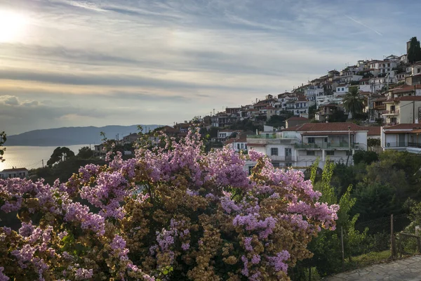 Blossoms Buildings Town Glossa Thessalia Sterea Ellada Skopelos Greece — Stock Photo, Image