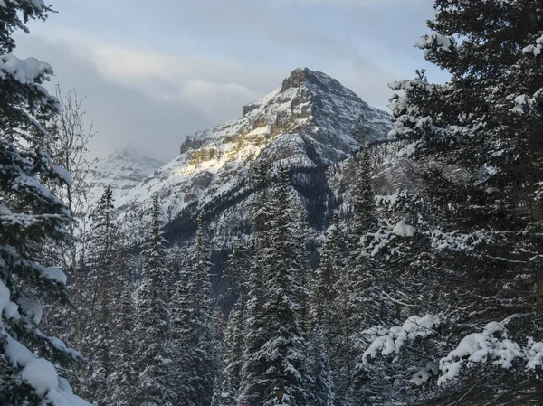 レイク ルイーズ バンフ国立公園 アルバータ カナダの山と木が雪に覆われています — ストック写真