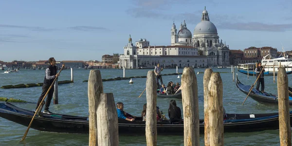 Gondolier Rowing Gondolas Grand Canal Santa Maria Della Salute Background — Stock Photo, Image