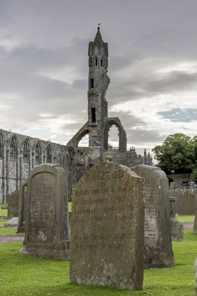 Sírkő Andrews Cathedral Andrews Fife Scotland — Stock Fotó