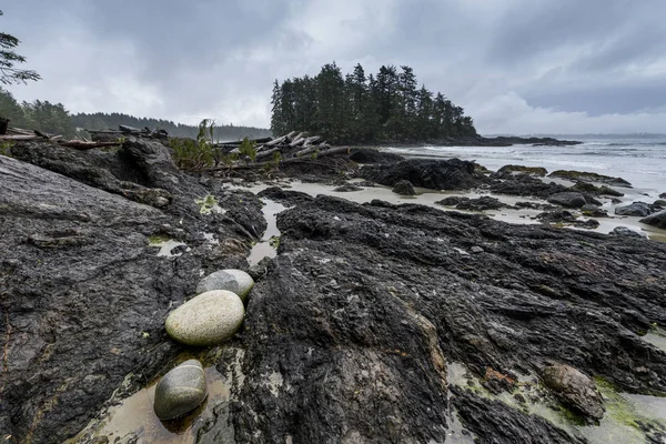 Formación Rocas Costa Reserva Del Parque Nacional Pacific Rim Columbia — Foto de Stock