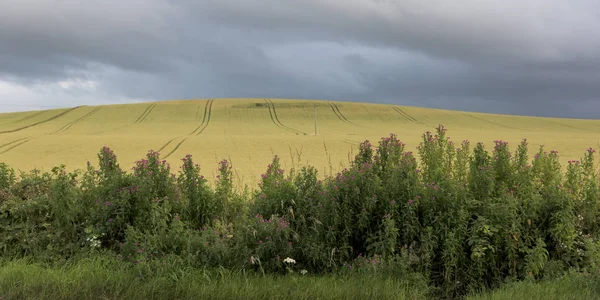 View Agricultural Landscape Cloudy Sky Fife Scotland — Stock Photo, Image