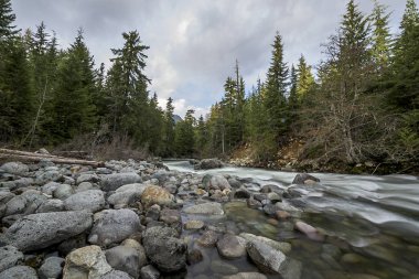 Bir ormanda, Whistler, British Columbia, Kanada akan nehir