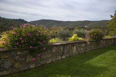 Taş istinat duvarı turist resort, Gaiole In Chianti, Toskana, İtalya, doğal görünümünü