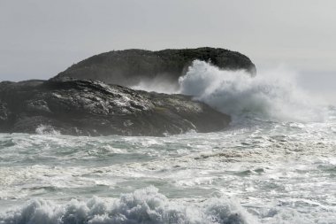 Wave splashing on rocky coast, Pacific Rim National Park Reserve, Tofino, Vancouver Island, British Columbia, Canada clipart