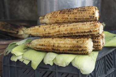 Kavrulmuş sweetcorns, San Miguel de Allende, Guanajuato, Meksika Close-Up