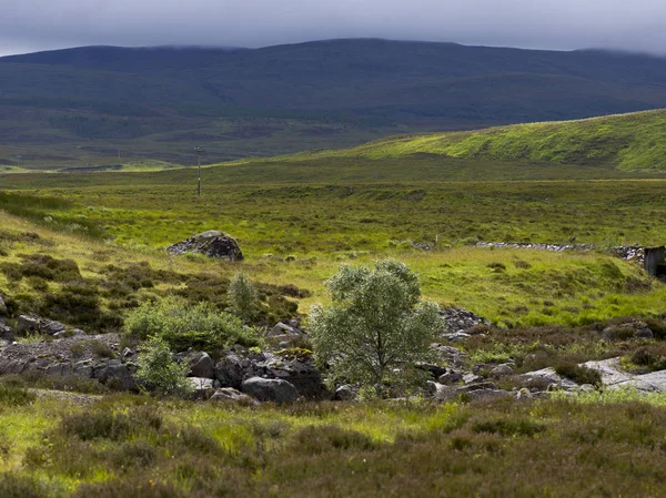 Malebný Pohled Travnaté Krajiny Skotské Vysočiny Skotsko — Stock fotografie