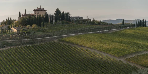 Vista Panoramica Sui Vigneti Della Valle Radda Chianti Toscana Italia — Foto Stock