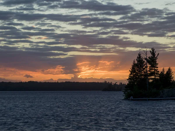 Silhouet Van Bomen Oever Van Het Meer Lake Woods Ontario — Stockfoto