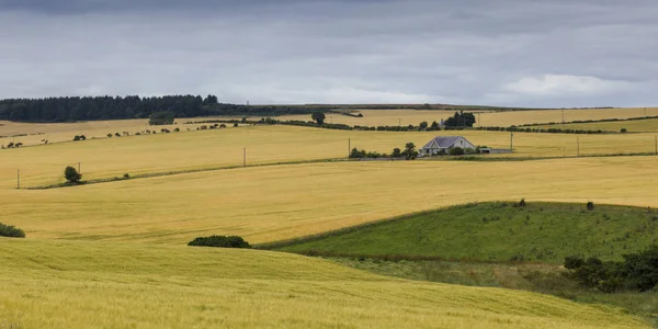 View Agricultural Landscape Cloudy Sky Scotland — Stock Photo, Image