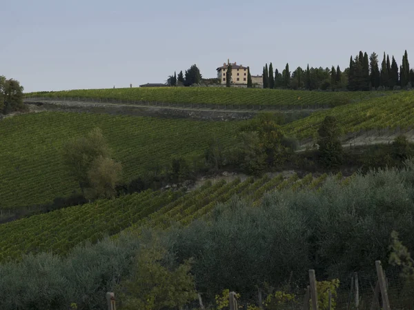 Scenic View Vineyards Tuscany Italy — Stock Photo, Image