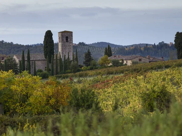 Vista Panoramica Sui Vigneti Toscana Italia — Foto Stock