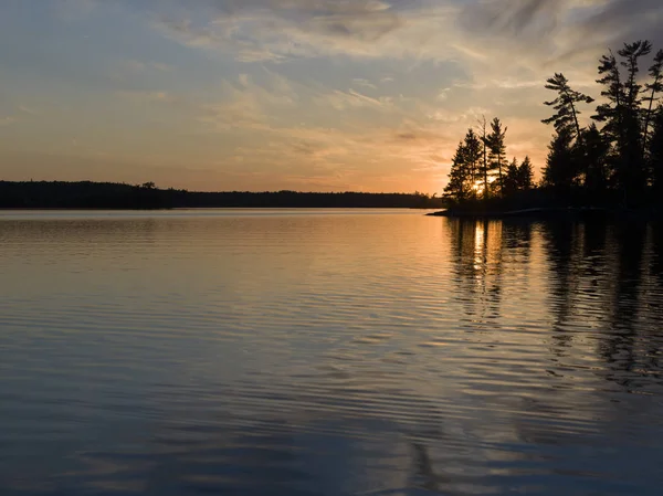 Silhouet Van Bomen Oever Van Het Meer Lake Woods Ontario — Stockfoto