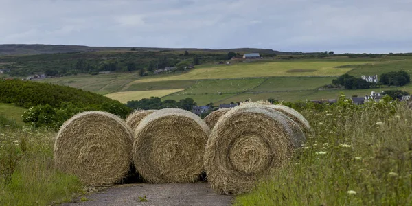 Hay Bales Farmland Scottish Highlands Scotland — Stock Photo, Image
