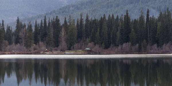 Reflektion Pinjeträd Sjö British Columbia Kanada — Stockfoto