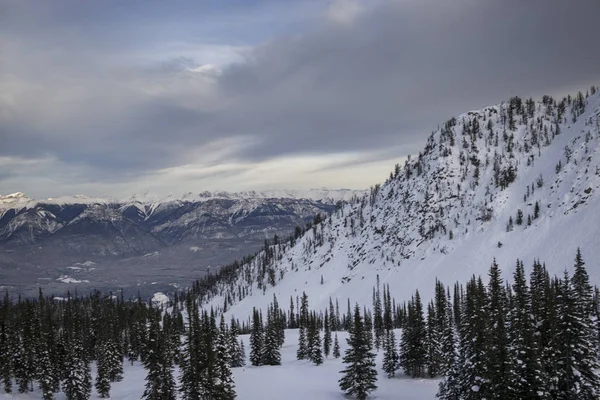 Schneebedeckte Bäume Mit Bergen Winter Treten Pferd Mountain Resort Golden — Stockfoto