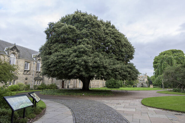 Campus of the St Mary's College, St Andrews, Fife, Scotland