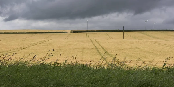 Blick Auf Landwirtschaftliche Landschaft Gegen Bewölkten Himmel Perth Und Kinross — Stockfoto
