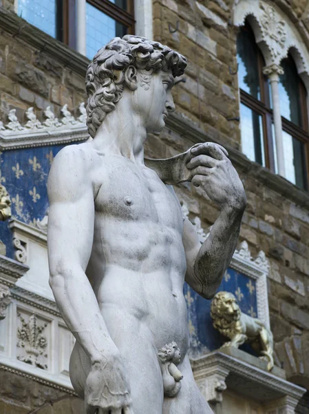 Statue of David in front of the Palazzo Vecchio, Piazza della Signoria, Florence, Tuscany, Italy