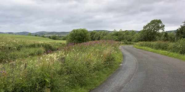 Country Road Passing Landscape Cloudy Sky Kinross Perth Kinross Scotland — Stock Photo, Image