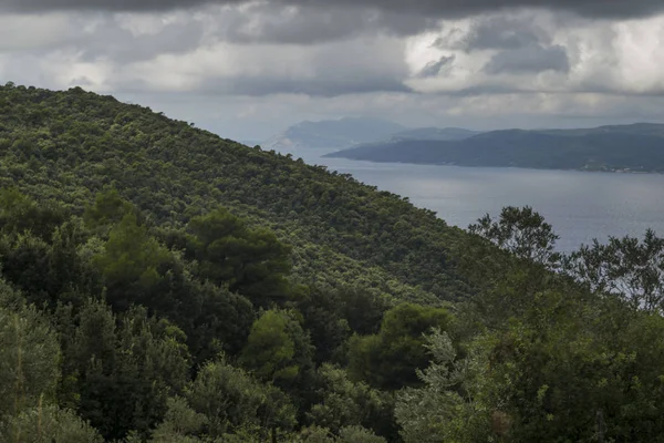 Vue Angle Élevé Sur Les Arbres Flanc Colline Skiathos Sporades — Photo