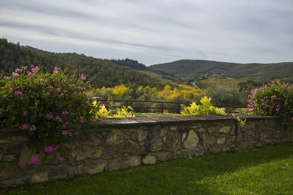 Vue Panoramique Sur Les Vignobles Gaiole Chianti Toscane Italie Photos De Stock Libres De Droits